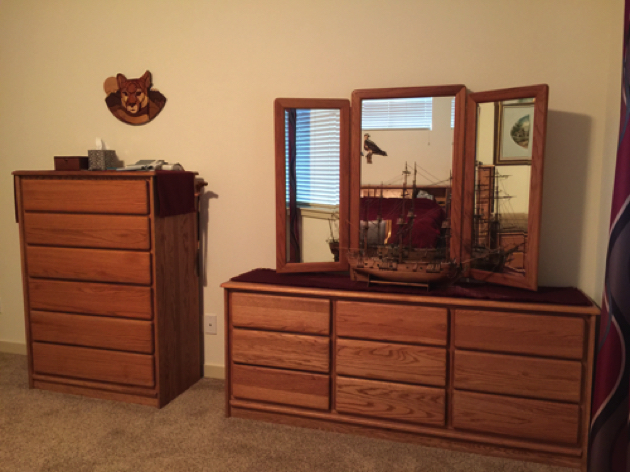 Master Bedroom - Furniture wall